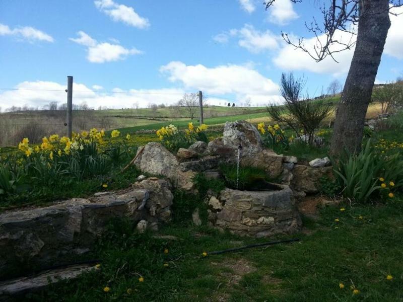 Casa Rural Mollo, Vall De Camprodon Exterior foto